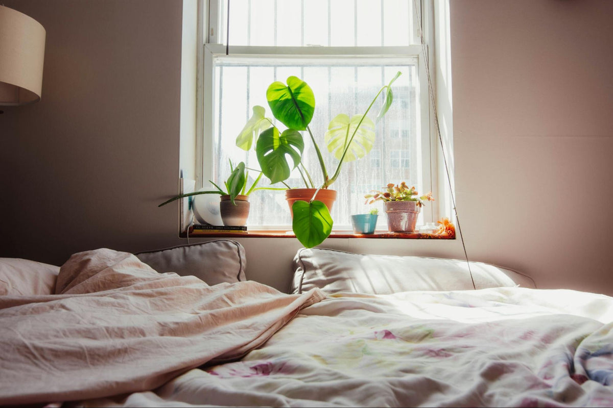 Decor Ideas for Your University Room (on a Student Budget)