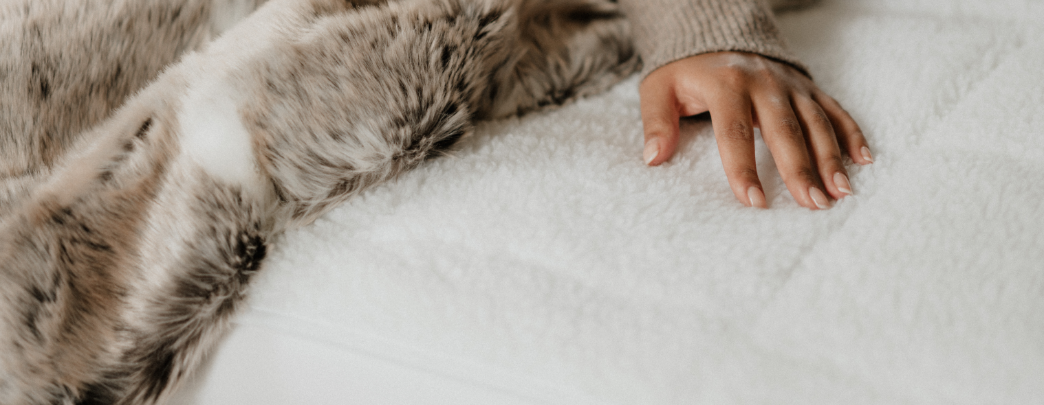 Dreamland electric overblanket double hotsell