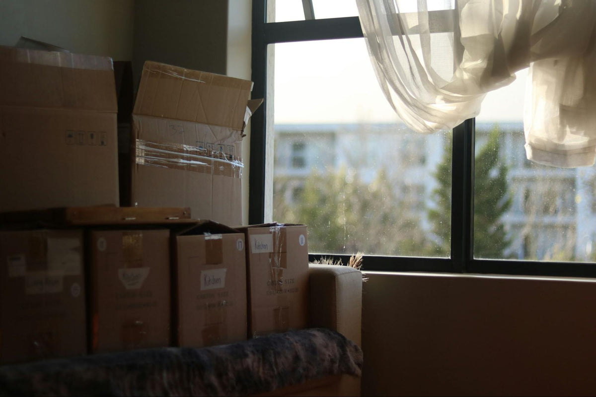 What to Buy for Uni? Underrated Uni Room Essentials