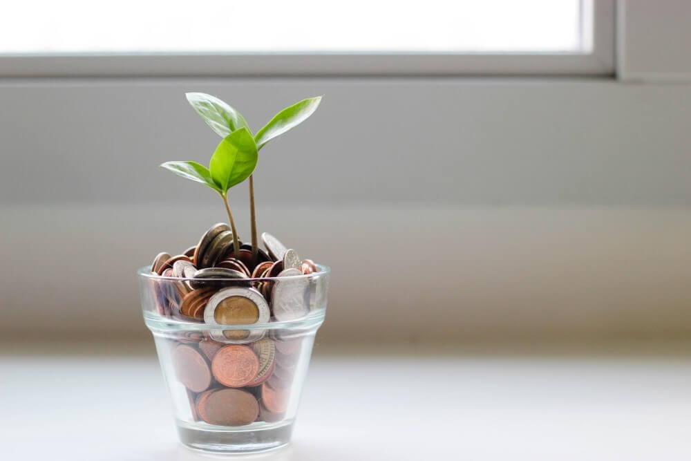 a glass full of money with a plant sprouting from it