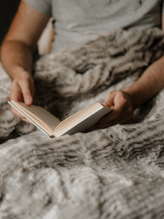 Dreamland zebra electric throw sale